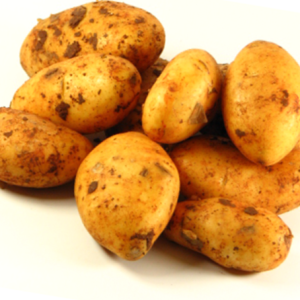  ZIEMNIAKI MLODE IMPORT