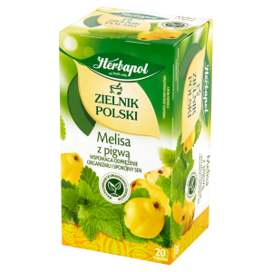 Herbapol Zielnik Polski Herbatka ziołowo-owocowa melisa z pigwą 35 g (20 x 1,75 g)