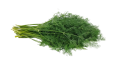 anethum-4744673_960_720.png