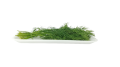 anethum-4744682_960_720.png