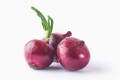 red-onion-whole-isolated-on-white-min.jpg