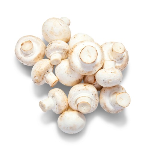 champignon-mushroom-min.jpg