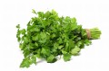 fresh-parsley-isolated-min.jpg