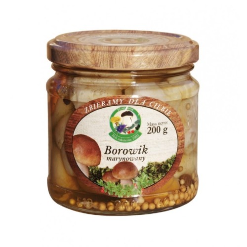 Fungopol borowik.jpg