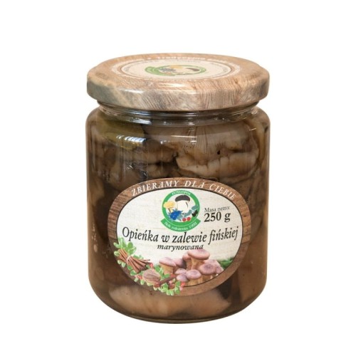 Fungopol opieńka.jpg