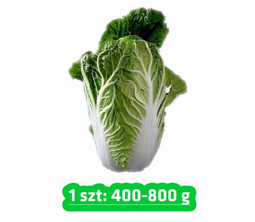 kapusta pekińska.jpg