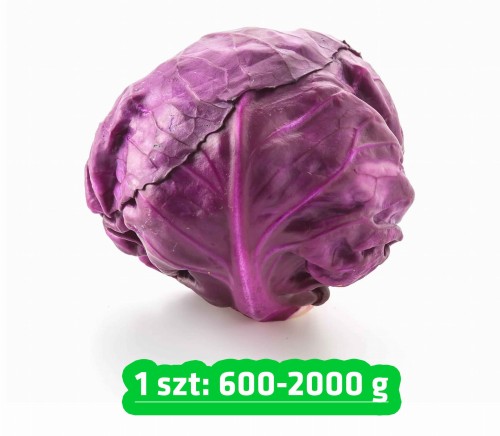 kapusta czerwona.jpg