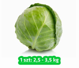  Kapusta biała