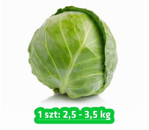 kapusta biała.jpg